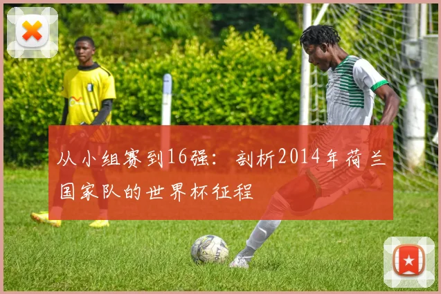 从小组赛到16强：剖析2014年荷兰国家队的世界杯征程