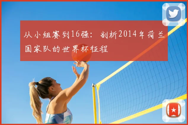 从小组赛到16强：剖析2014年荷兰国家队的世界杯征程